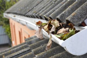 Rain Gutters Cleaning